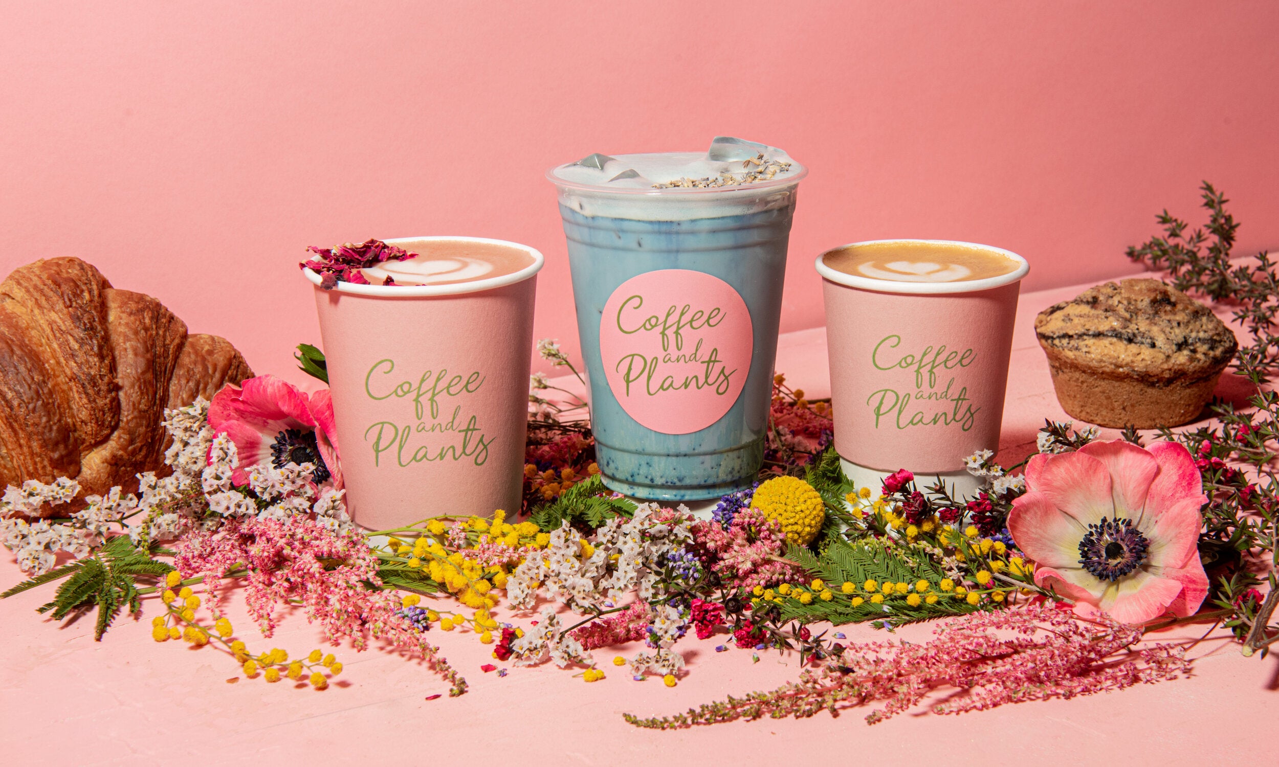 The Most Unique Coffee Shops in LA Discover Los Angeles